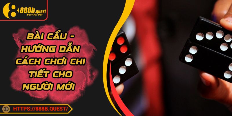 Bài Cẩu - Hướng Dẫn Cách Chơi Chi Tiết Cho Người Mới 
