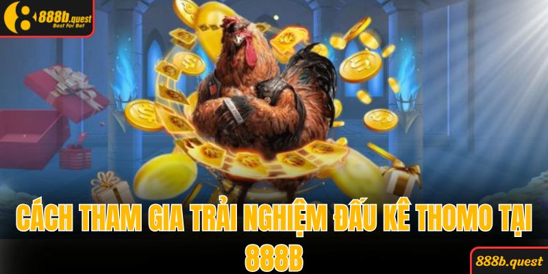 Cách tham gia trải nghiệm đấu kê Thomo tại 888B