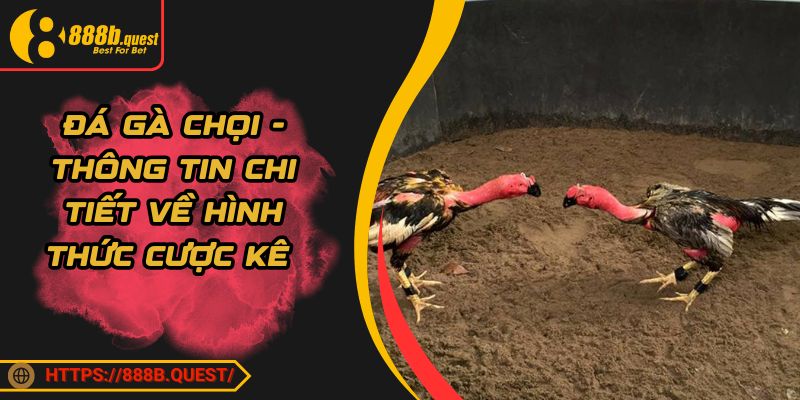 Đá Gà Chọi - Thông Tin Chi Tiết Về Hình Thức Cược Kê 