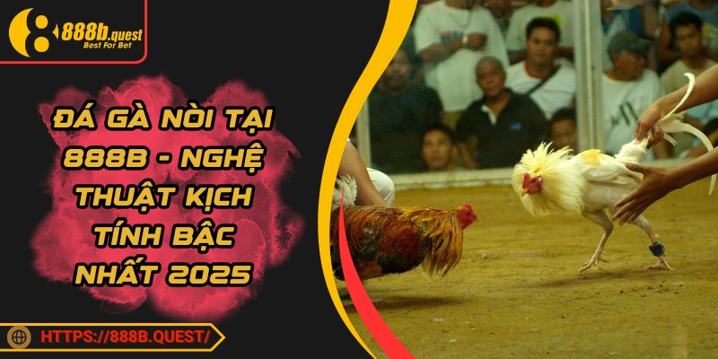 Đá Gà Nòi Tại 888B - Nghệ Thuật Kịch Tính Bậc Nhất 2025
