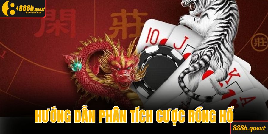 Hướng dẫn phân tích cược rồng hổ hiệu quả
