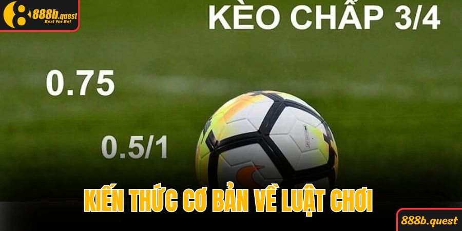 Kiến thức cơ bản về luật chơi cược cần nắm 