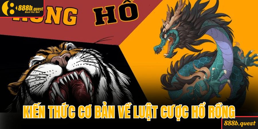 Kiến thức cơ bản về luật cược hổ rồng hiệu quả