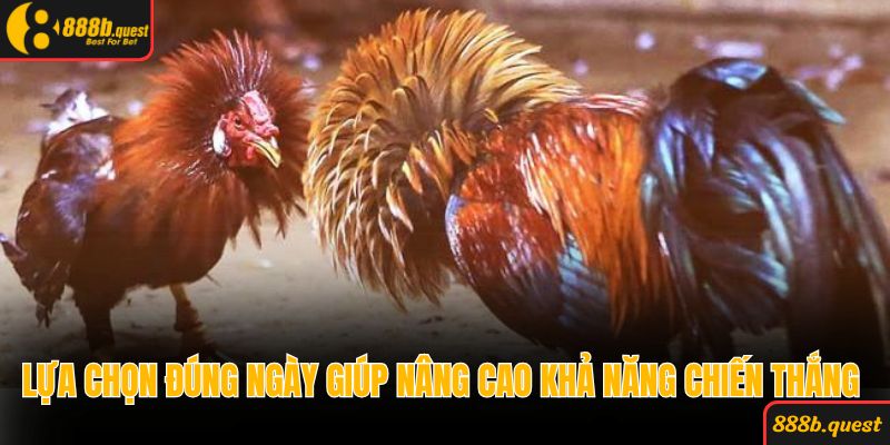 Lựa chọn đúng ngày giúp nâng cao khả năng chiến thắng