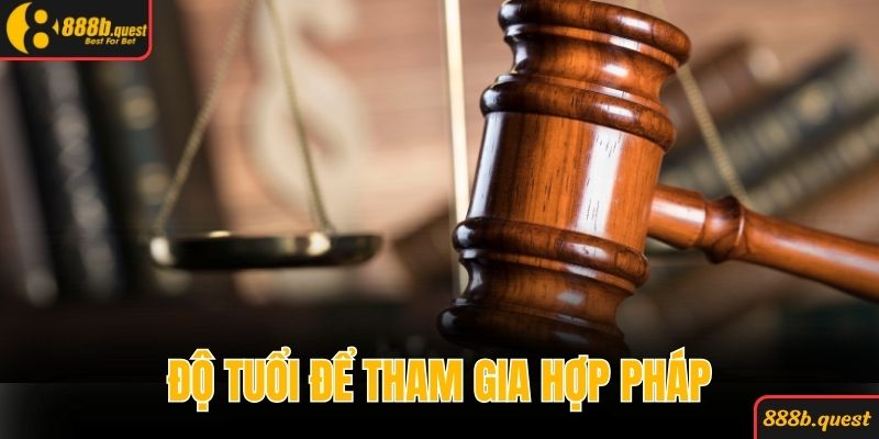 Yêu cầu về độ tuổi bắt buộc để tham gia hợp pháp